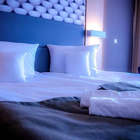 Hotel Astone Conference&spa 4*